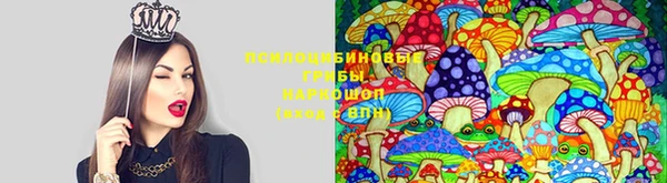 хмурый Балабаново
